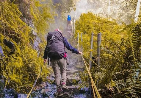 Pendakian Gunung Gede: Panduan Lengkap